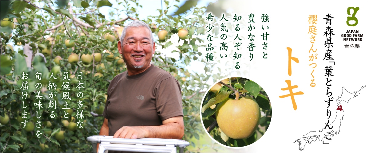 トキ 10~12玉