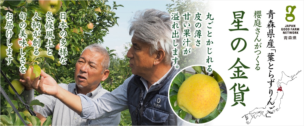 葉とらず 星の金貨(ほしのきんか) 11~13玉