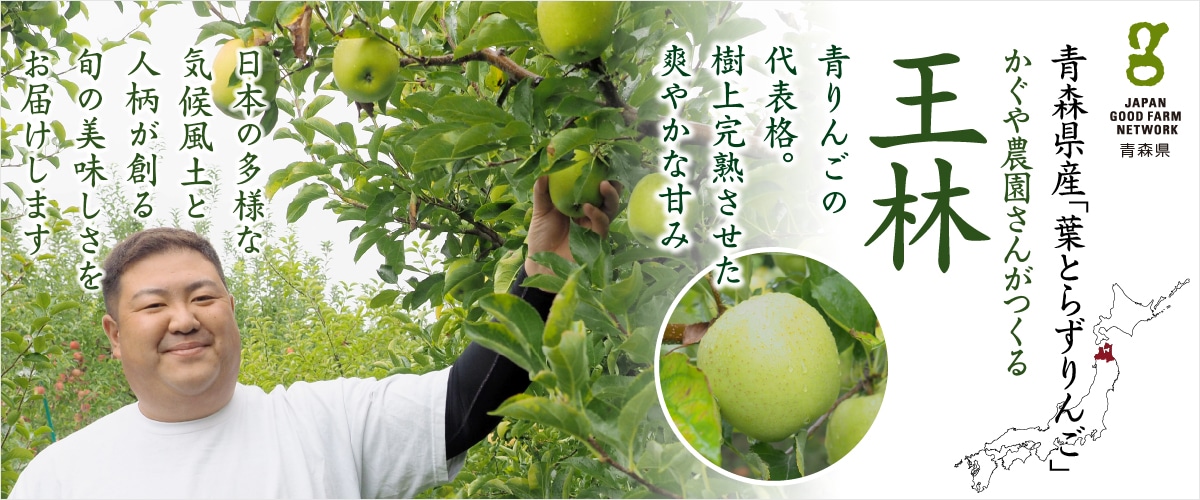 葉とらず王林(おうりん)8~12玉