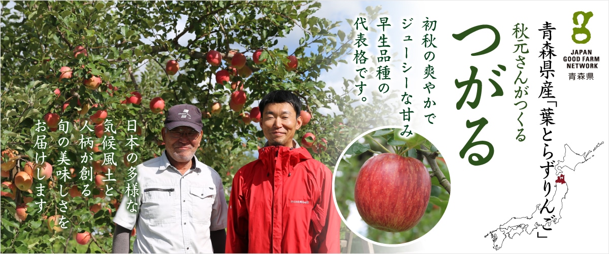 つがる 9~11玉 つがる 9~11玉【送料込み】