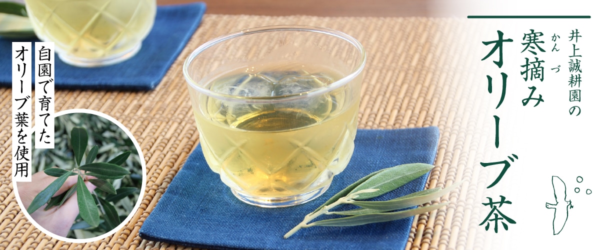 寒摘みオリーブ茶 350ml 24本入り 24本入り