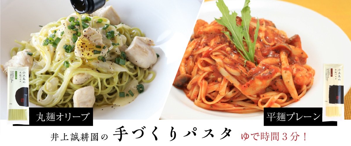 手づくりパスタ 平麺プレーン 150g 平麺プレーン 150g
