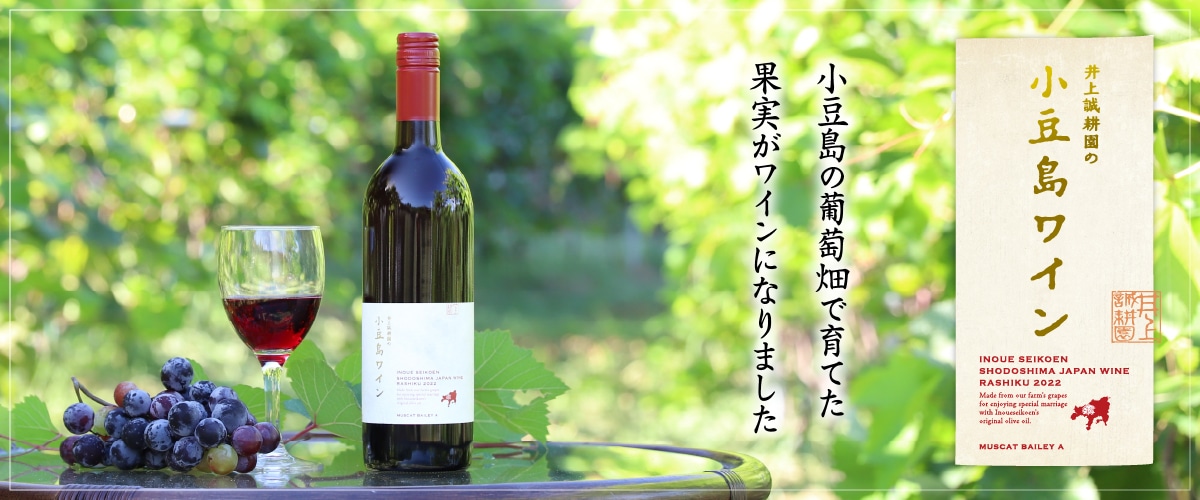 2023年産 井上誠耕園の小豆島ワイン(赤) 750ml 2023年産 750ml