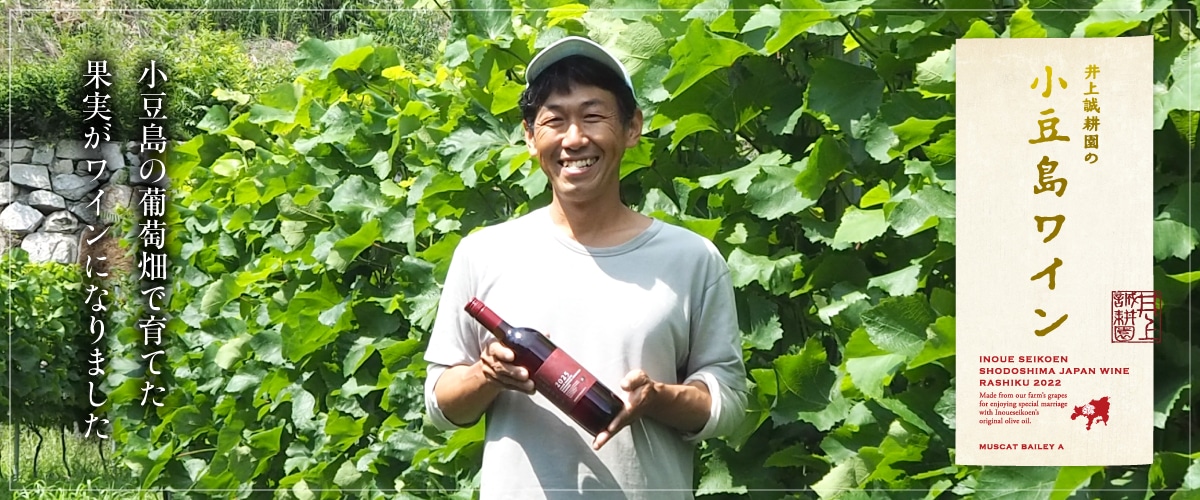 2025年産 井上誠耕園の小豆島ワイン(赤) 750ml