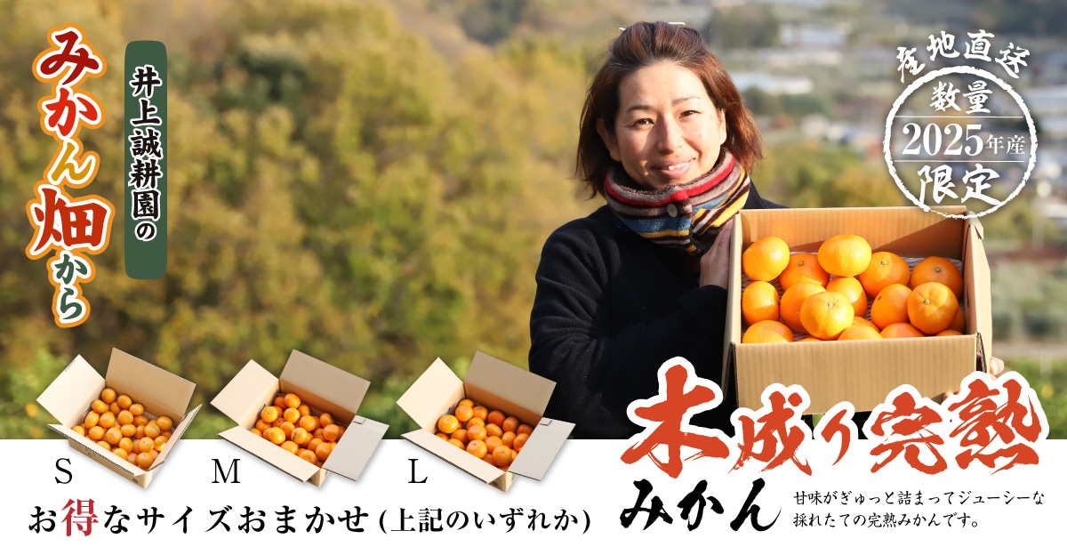 木成り完熟みかんサイズおまかせ・3kg サイズおまかせ(S/M/Lいずれか1箱)・3kg