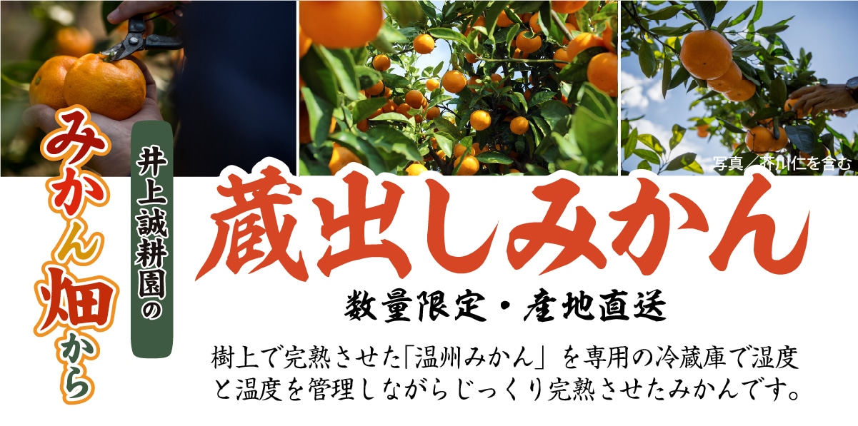蔵出しみかん規格外・3kg 規格外・3kg