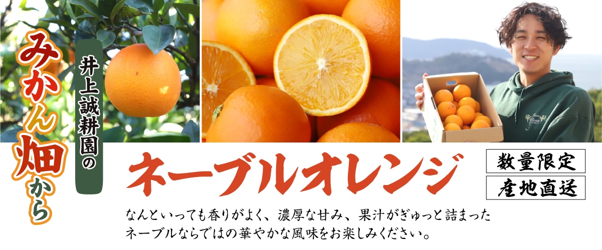 ネーブルオレンジ　Sサイズ　3kg(約24玉) Sサイズ3kg(約24玉)