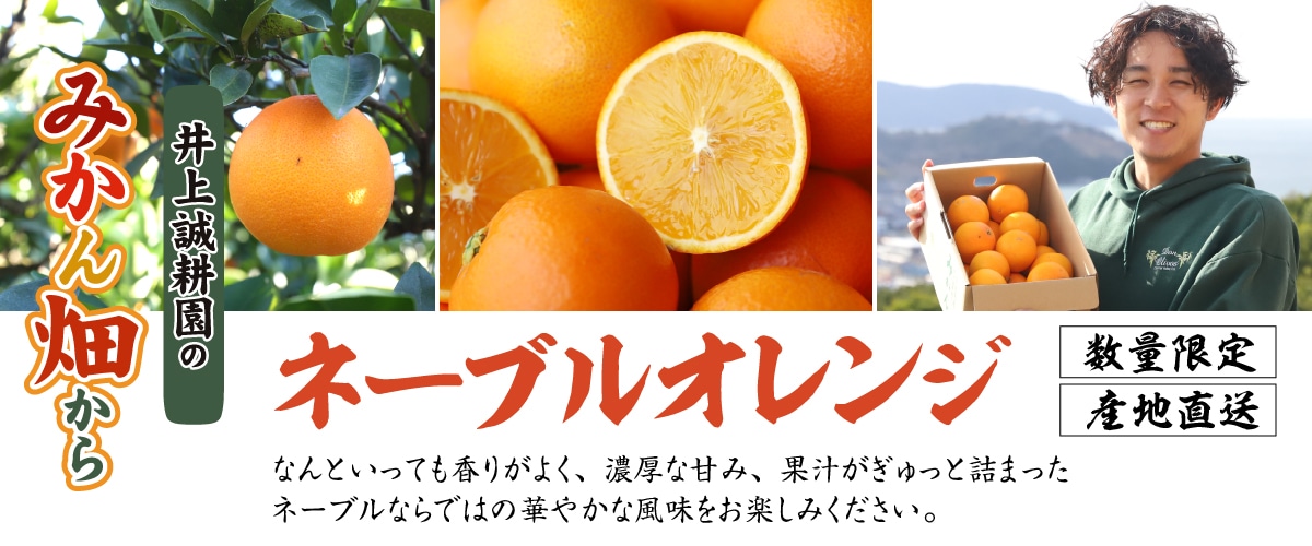 ネーブルオレンジ　規格外　3kg 規格外(3kg）