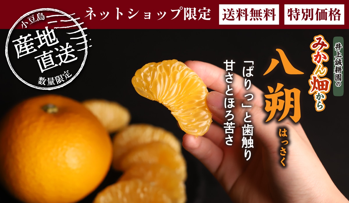 八朔(はっさく) 4kg 大小混合 八朔(はっさく) 4kg 大小混合