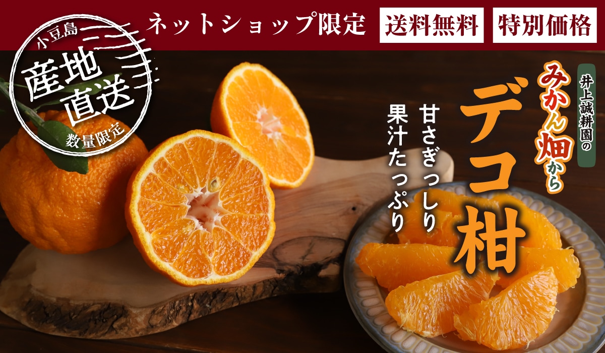 デコ柑 4㎏ 大小混合 デコ柑 4㎏ 大小混合