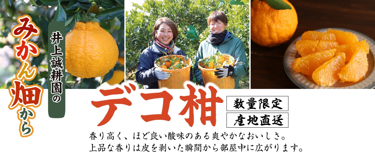 デコ柑 大小混合 5kg 大小混合 5kg