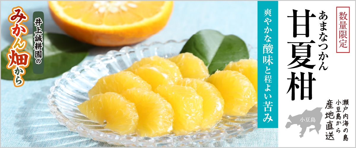 甘夏柑(あまなつかん) Lサイズ 約9玉 Lサイズ 約9玉