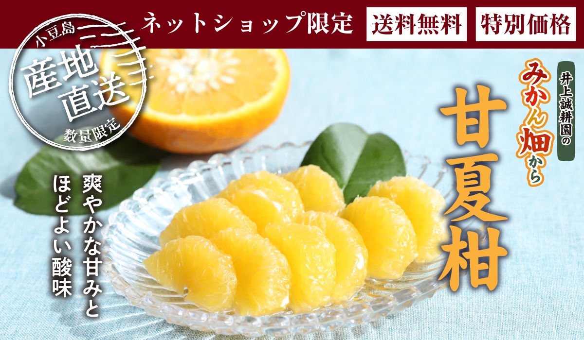 甘夏柑 4㎏ 大小混合【送料込み】 甘夏柑 4㎏ 大小混合