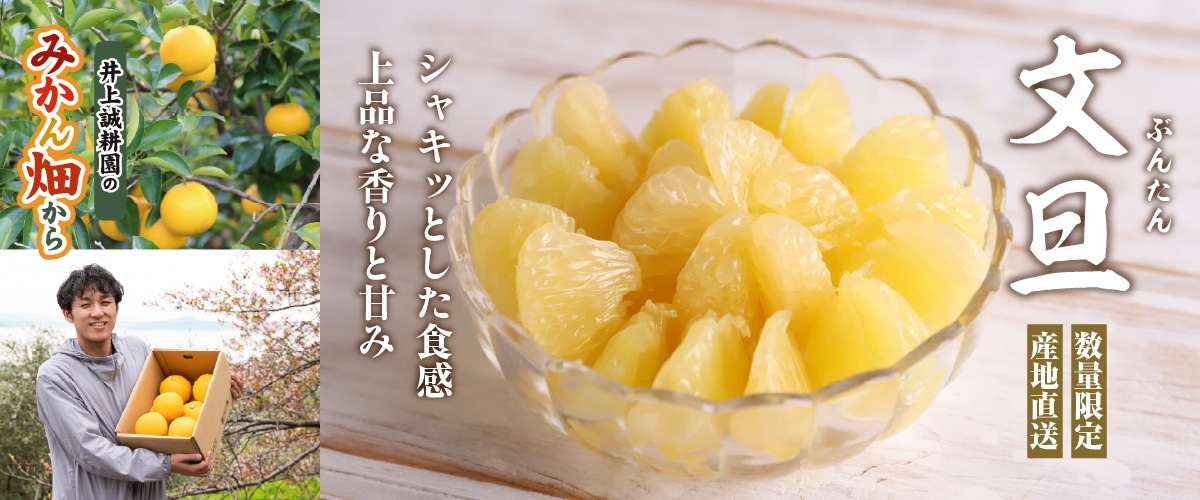 文旦(ぶんたん) 大小混合 5kg