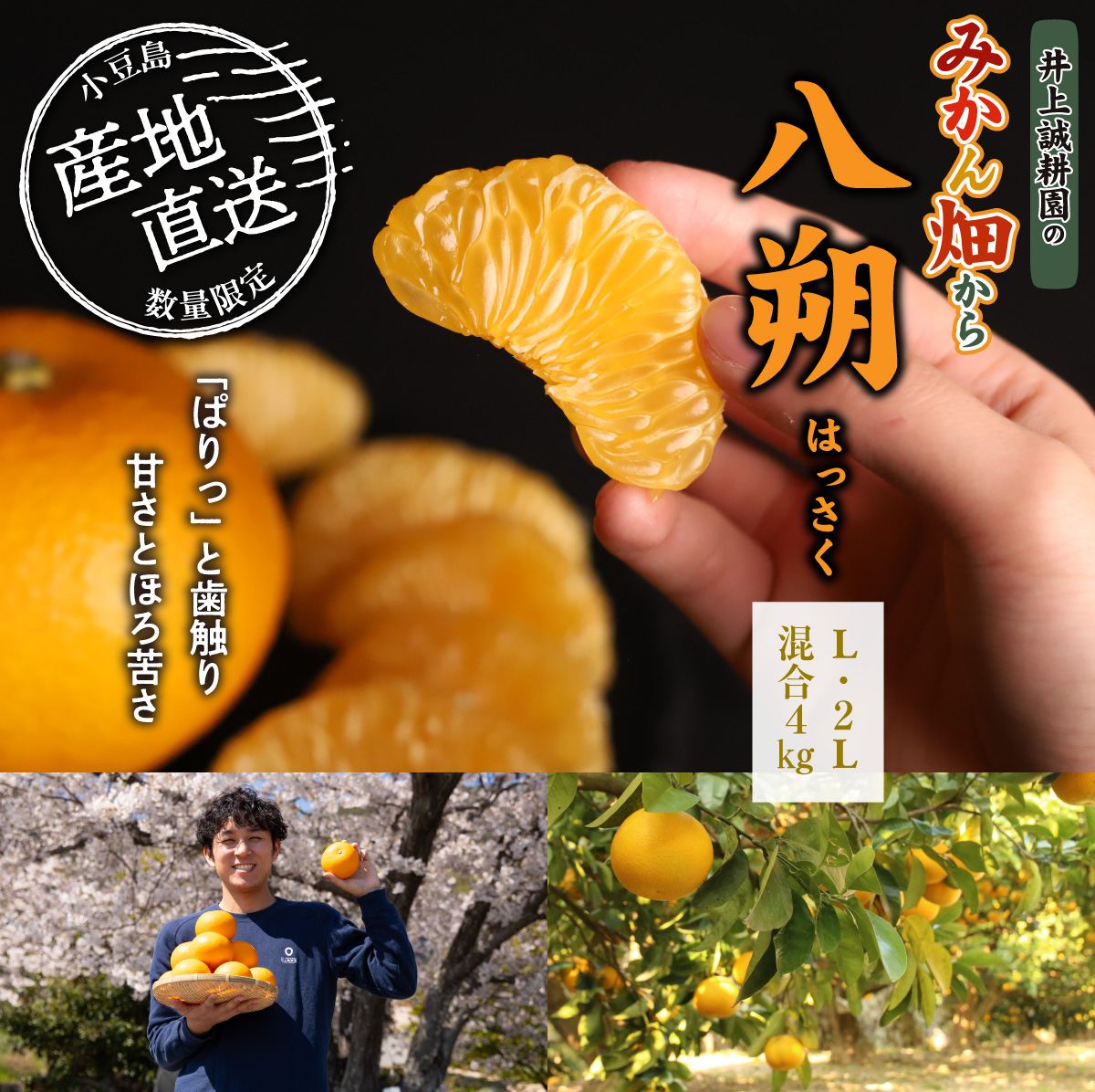 八朔（はっさく）L・２L 混合 4kg L・２L 混合 4kg