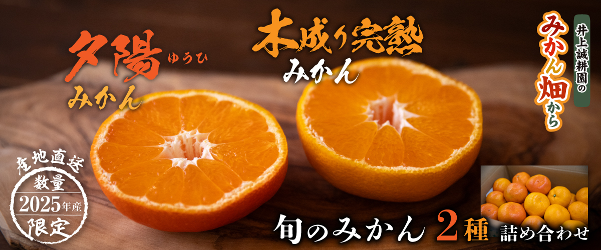 【年末特価】夕陽みかん・木成り完熟みかん 詰め合わせ 5kg