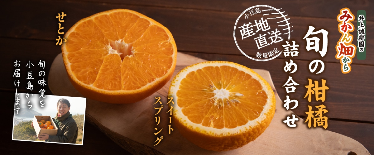 旬の柑橘詰め合わせ 5kg（スイートスプリング・せとか） A（スイートスプリング・せとか）5kg