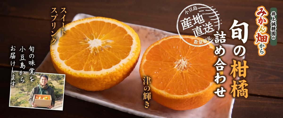 旬の柑橘詰め合わせ 5kg（スイートスプリング・津の輝） B（スイートスプリング・津の輝き）5kg