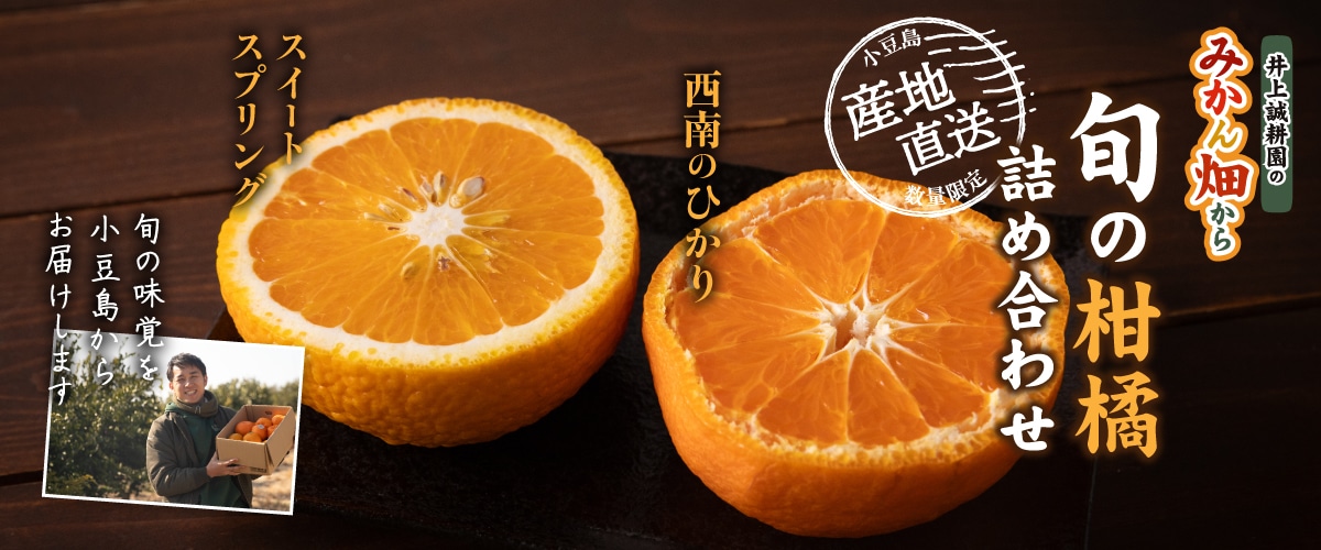 旬の柑橘詰め合わせ 5kg（スイートスプリング・西南のひかり） C（スイートスプリング・西南のひかり）5kg