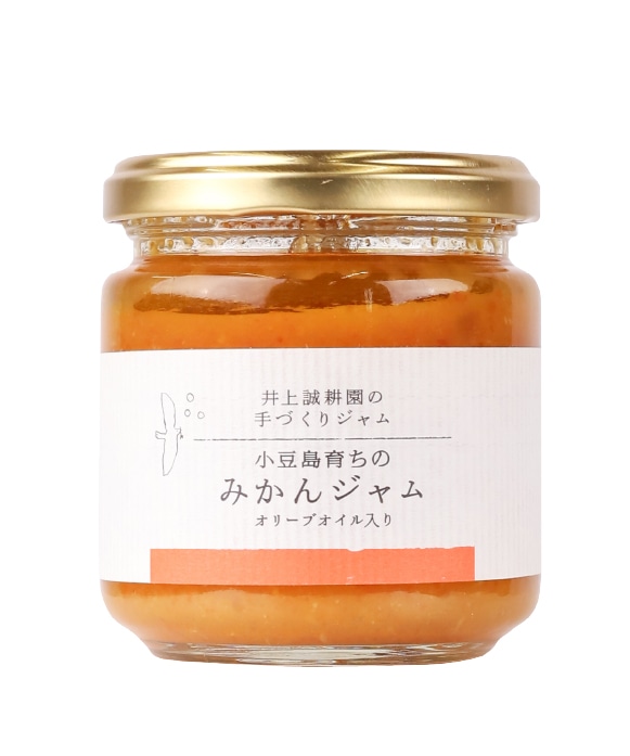 手づくりみかんジャム 190g(箱なし)