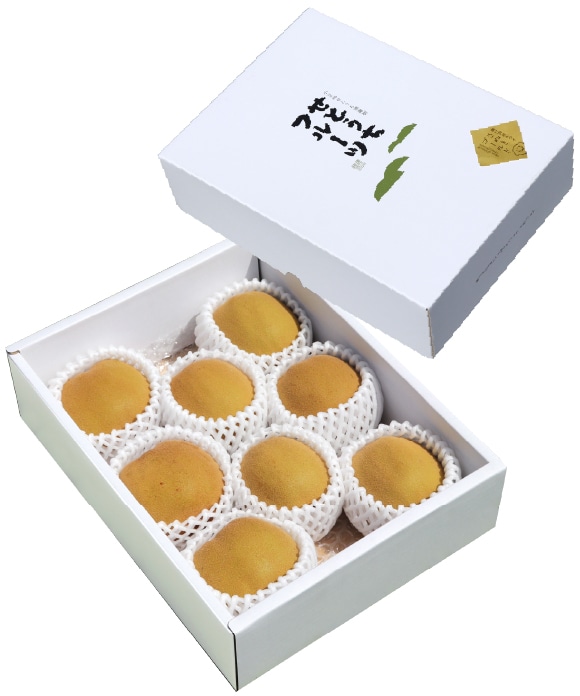 「さぬきゴールド」キウイ 1.5kg