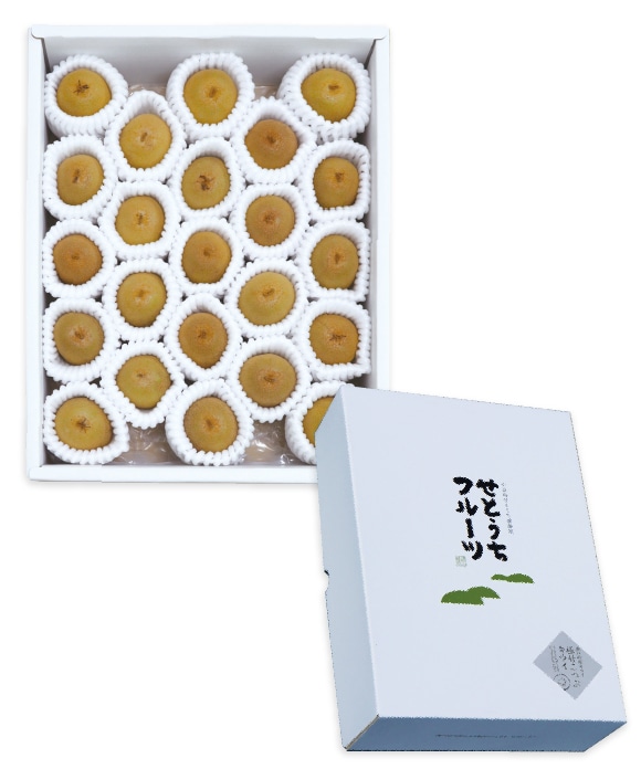 極甘こつぶキウイ 約1.2kg