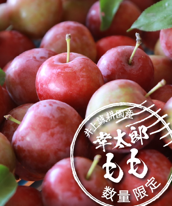 幸太郎もも（特上）12玉