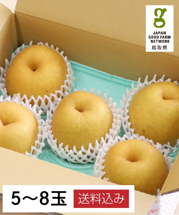 商品画像