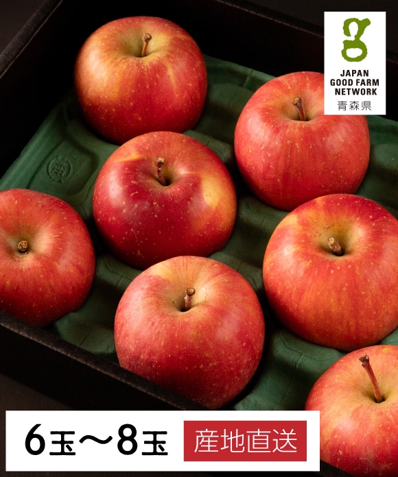 「糖度14度・蜜入り保証」特選 葉とらずふじりんご