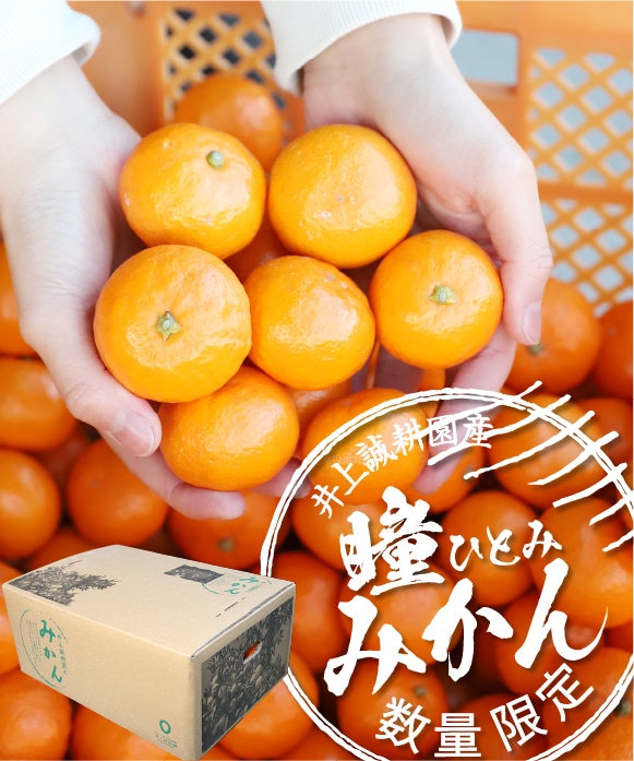 瞳みかん 3kg