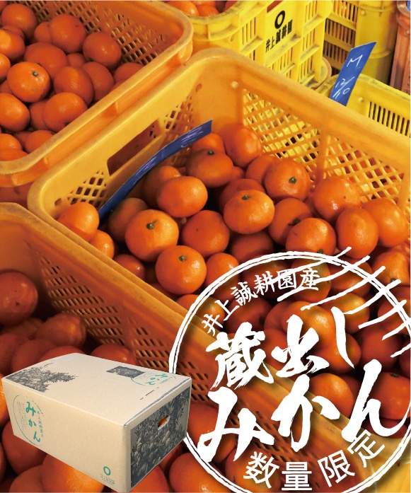 蔵出しみかん規格外・3kg