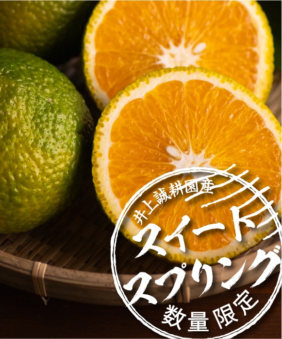 スイートスプリング　ご家庭用規格外 3kg