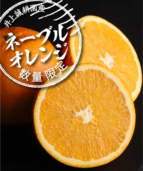 ネーブルオレンジ　シルバー規格