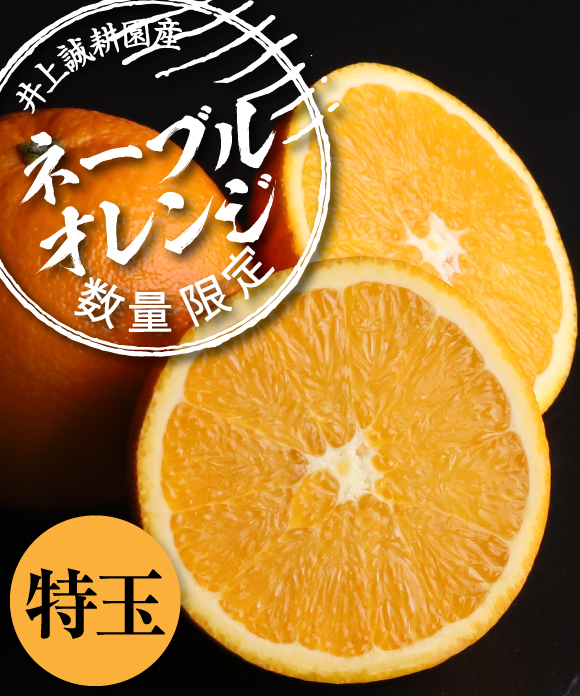 ネーブルオレンジ 8kg 特玉