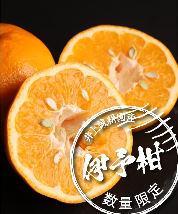 伊予柑 規格外3kg(大小混合)