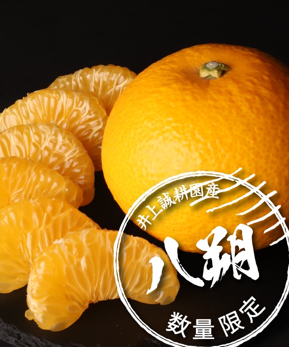八朔（はっさく）規格外3kg(大小混合)