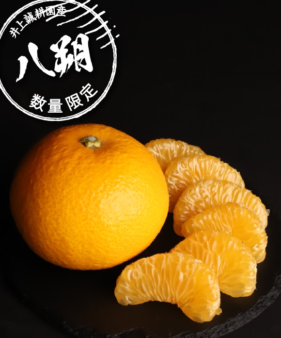 八朔(はっさく) 4kg 大小混合【送料込み】