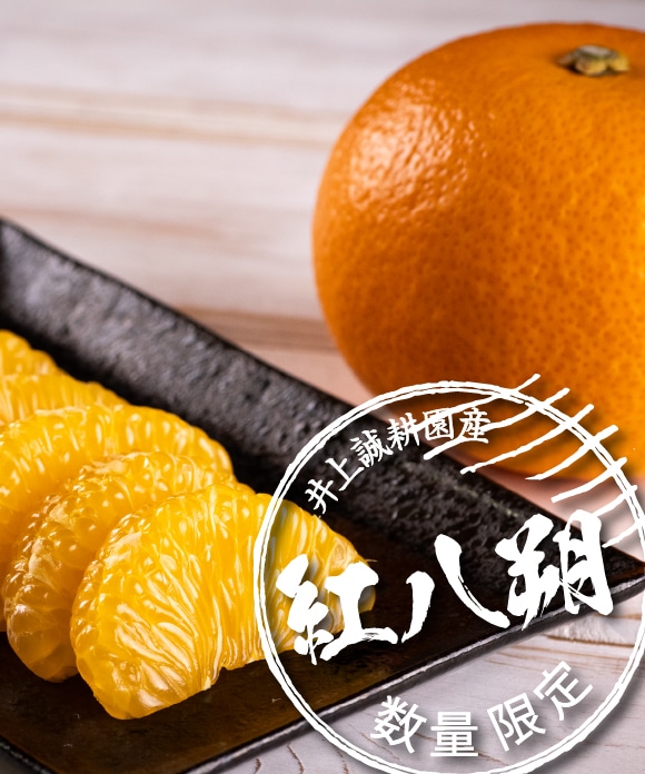 紅八朔（べにはっさく）規格外3kg(大小混合)