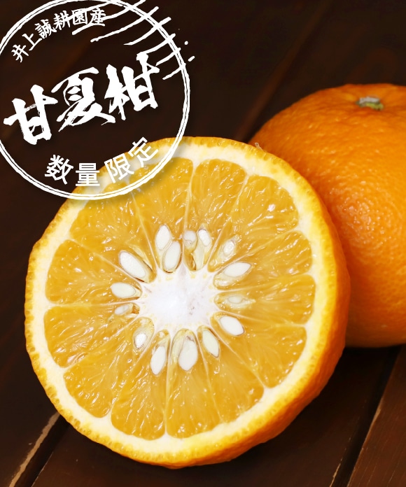 甘夏柑(あまなつかん) 4㎏ 大玉(2L～3L) 約8玉