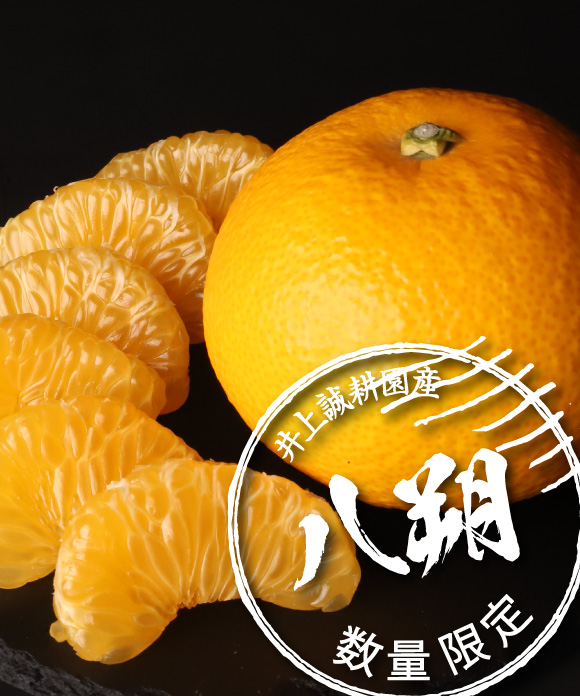 八朔（はっさく）L・２L 混合 4kg