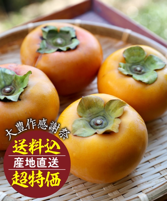 日向柿 (S・2.8㎏)