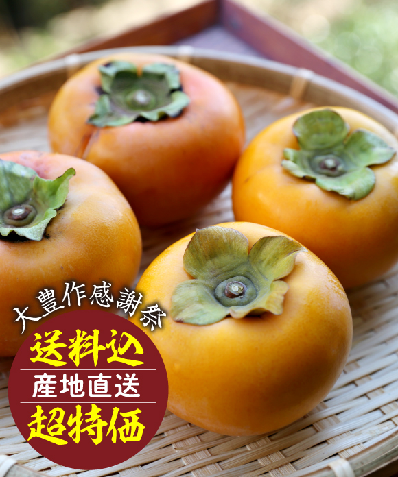 日向柿 (M・2.5㎏)