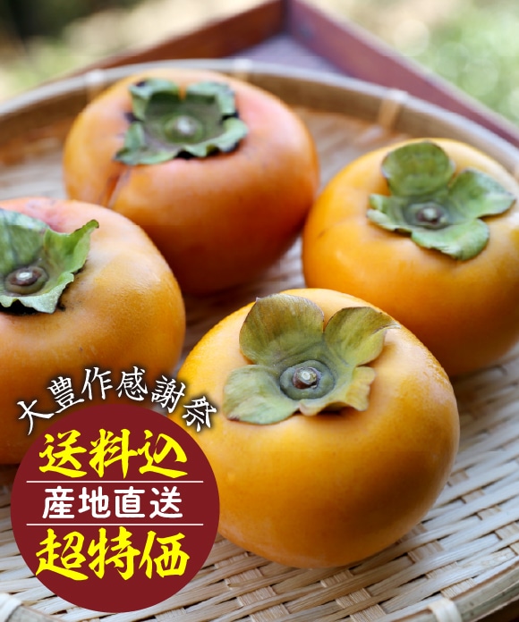 日向柿 (M・2.5㎏)