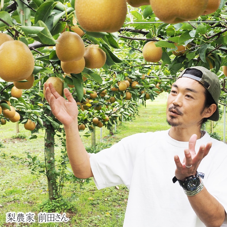 生搾り100％ジュース 鳥取県特選 高級梨「爽甘(そうかん