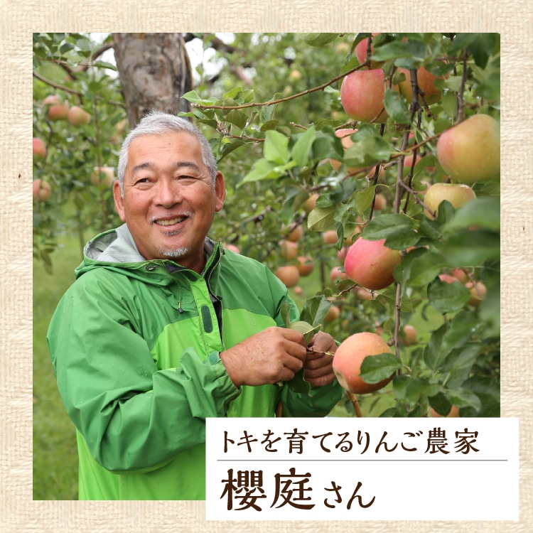 ★同梱★りんご　0820 冷凍フルーツ 山形県産 リンゴ 8袋入り (りんご/1袋 100g/冷凍品