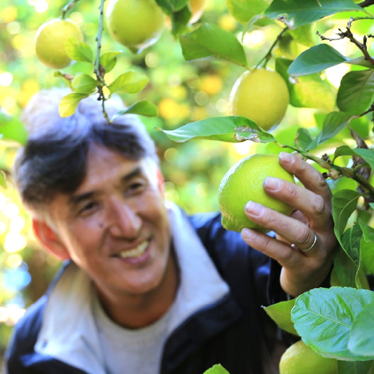 島の名産品 6種 詰め合わせ ｜ 小豆島せとうち感謝館