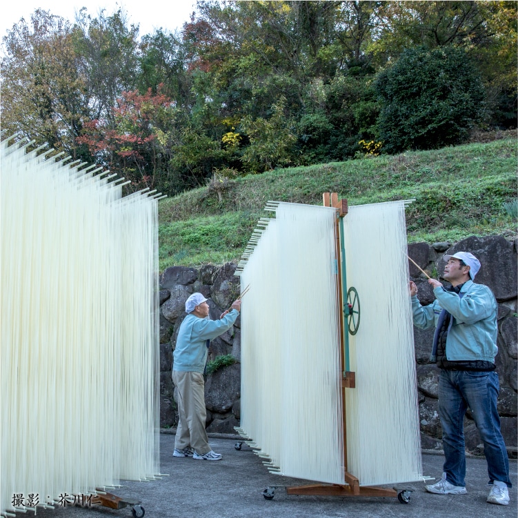 小豆島手延素麺「島の光 黒帯」 | 小豆島せとうち感謝館