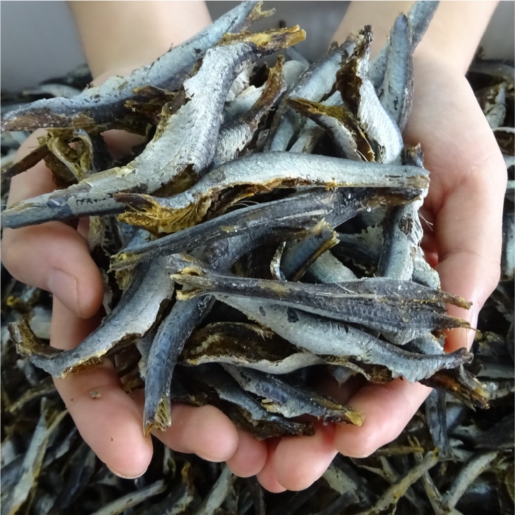 いわし削りぶし【お徳用サイズ】 | 小豆島せとうち感謝館