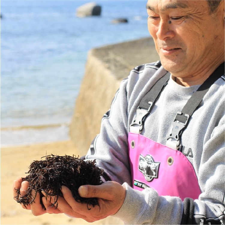瀬戸内海・天然 あかもくふりかけ | 小豆島せとうち感謝館
