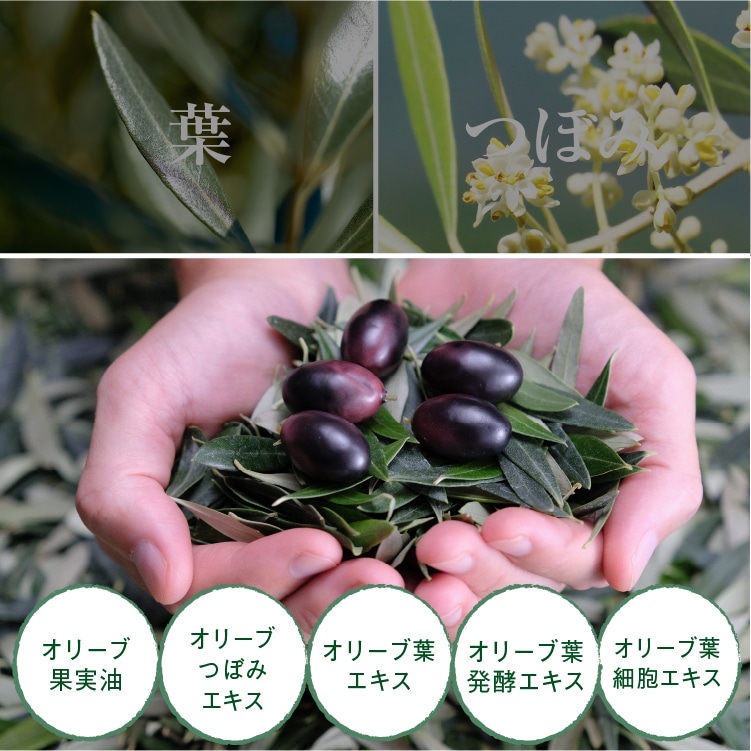 化粧水と乳液セット | 井上誠耕園